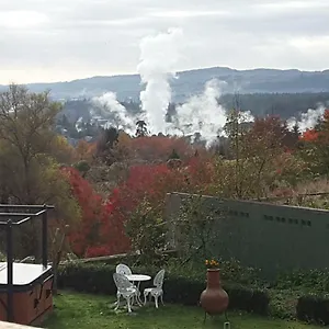 Geyser Lookout 罗托鲁阿